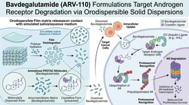 Bavdegalutamide (ARV-110) Formulations Target Androgen Receptor Degradation via Orodispersible Solid Dispersions