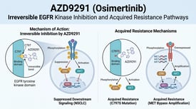 AZD9291 (Osimertinib) Irreversible EGFR Kinase Inhibition and Acquired Resistance Pathways