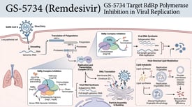 GS-5734 (Remdesivir) GS-5734 Target RdRp Polymerase Inhibition in Viral Replication